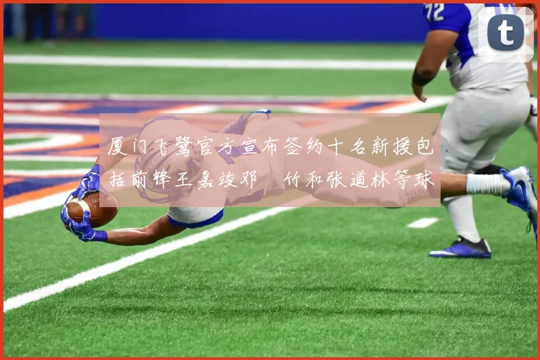 厦门飞鹭官方宣布签约十名新援包括前锋王嘉竣邓棽竹和张道林等球员
