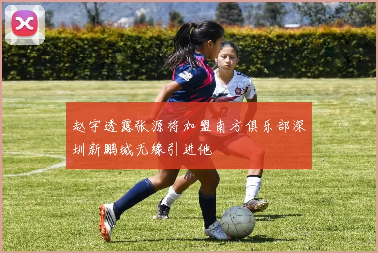 赵宇透露张源将加盟南方俱乐部深圳新鹏城无缘引进他